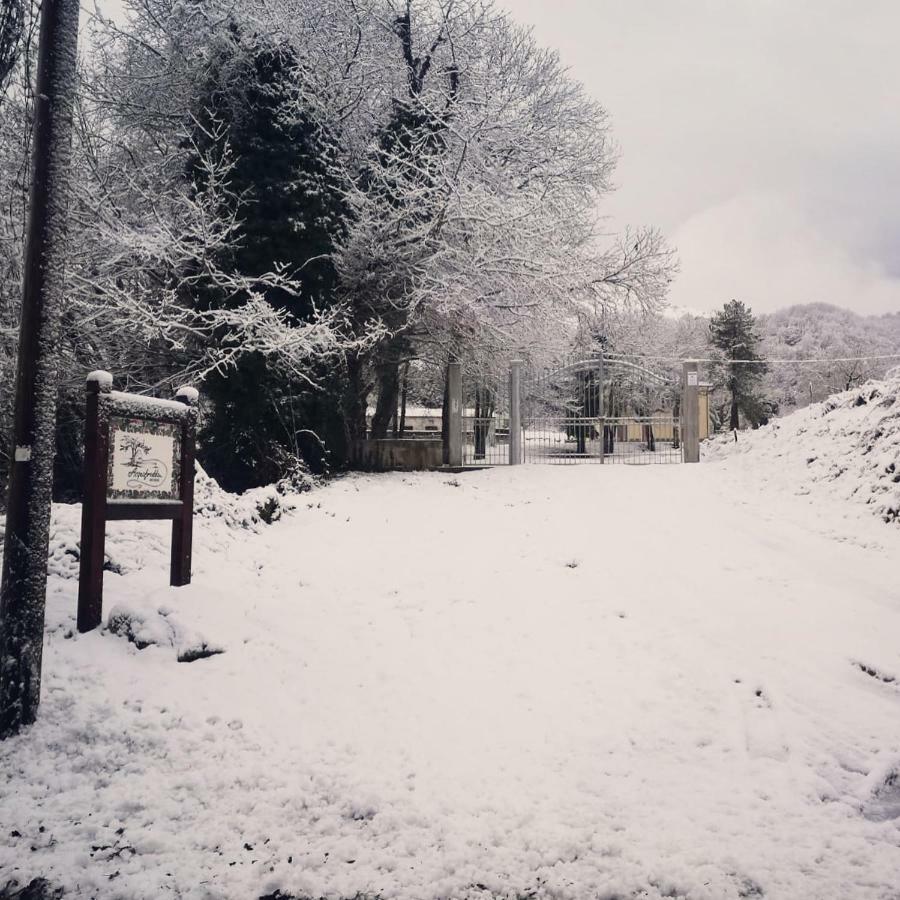 Agriturismo Acquafredda Villa Mormanno Eksteriør bilde