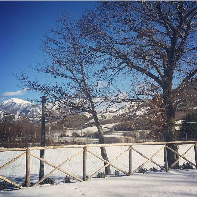 Agriturismo Acquafredda Villa Mormanno Eksteriør bilde